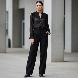 ZARA Black Sheer Burnout Dot Accordion Bib Neck Long Sleeve Blouse Top Sz S